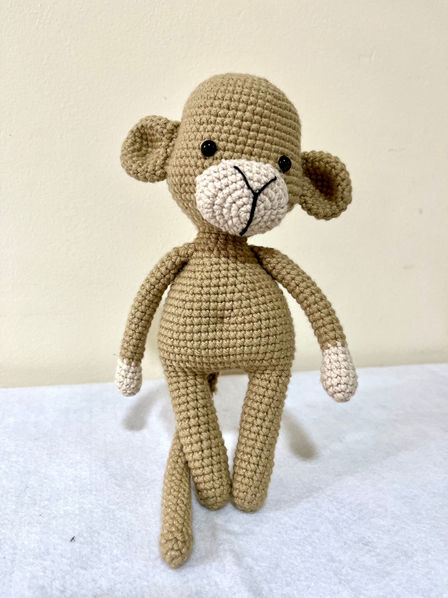 Cute Little Monkey