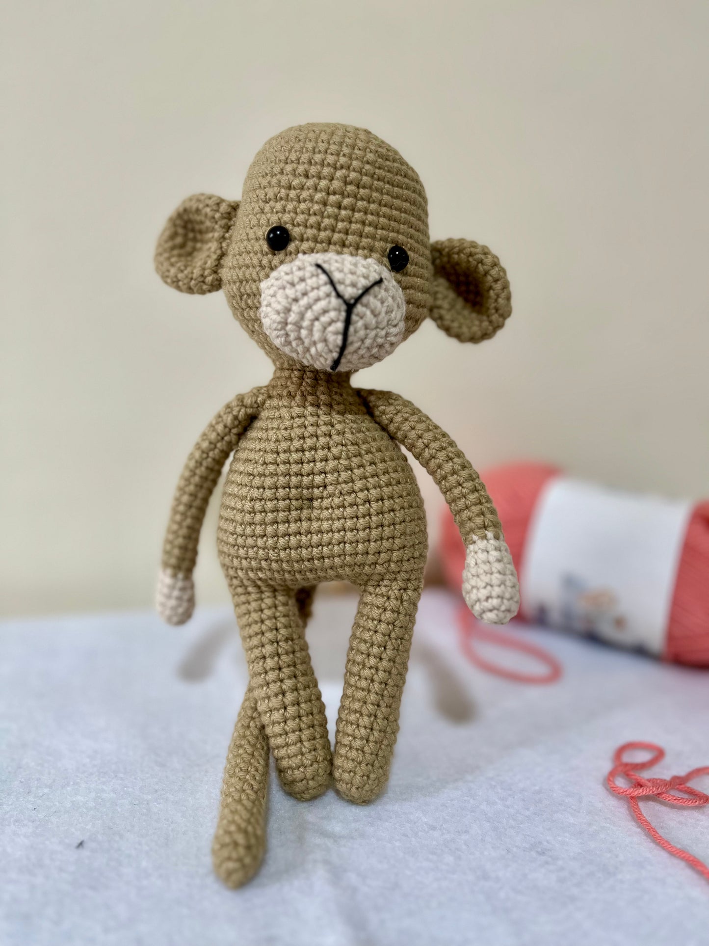 Cute Little Monkey
